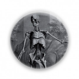 Sceleti et musculorum corporis humani