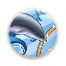 Over the rainbow - Dolphin