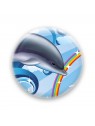 Over the rainbow - Dolphin