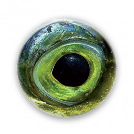 Œil de poisson