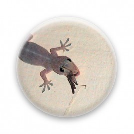 Yumy gecko